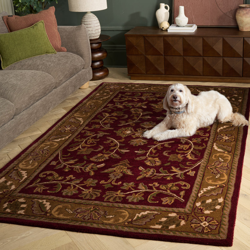 Tapis oriental en laine touffeté à la main Gorham, Rectangle de 5 pi x 8 pi