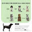 Lit pour animaux de compagnie, canapé pour animaux Pearl Design-1242645053