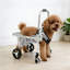 Fauteuil roulant pour chien Fauteuil roulant réglable pour les pattes arrière