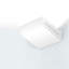 Neva 1-Light Flush Mounted Sconce-12373239