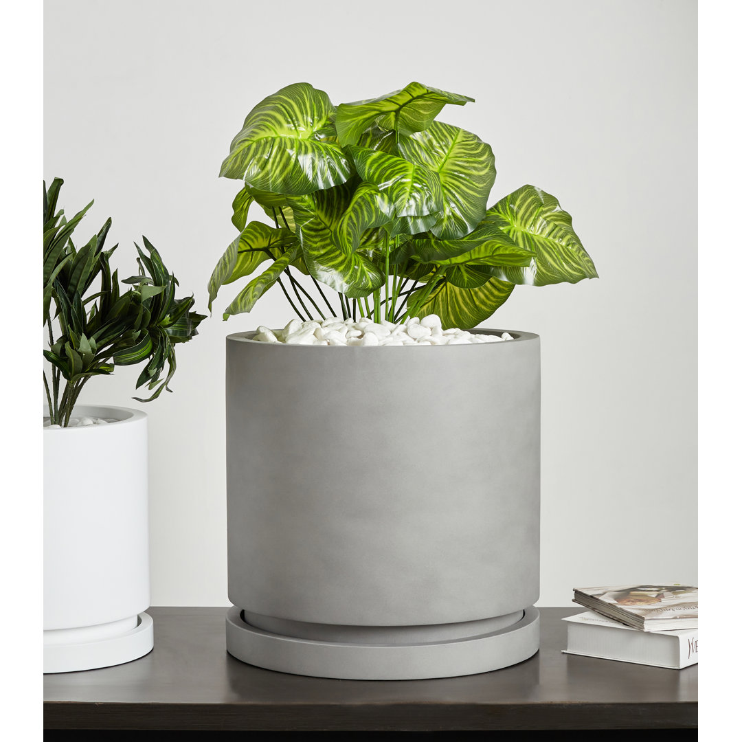 Finnly Handmade Pot Planter Ebern Designs 