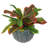 40cm Faux Plant in Pot Liner