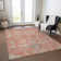 Machine Washable Indoor/Outdoor Cicel ACN1156 Coral Rug