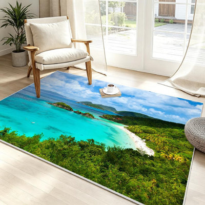 Magnifique tapis d'intérieur transparent lavable à la machine, Trunk Island