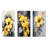 Yellow And Grey Hibiscus Serenade - Hibiscus Metal Art Print Set Of 3-2133380216