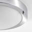 Frosted Glass Flush Mount