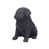 Black is out of stock selected