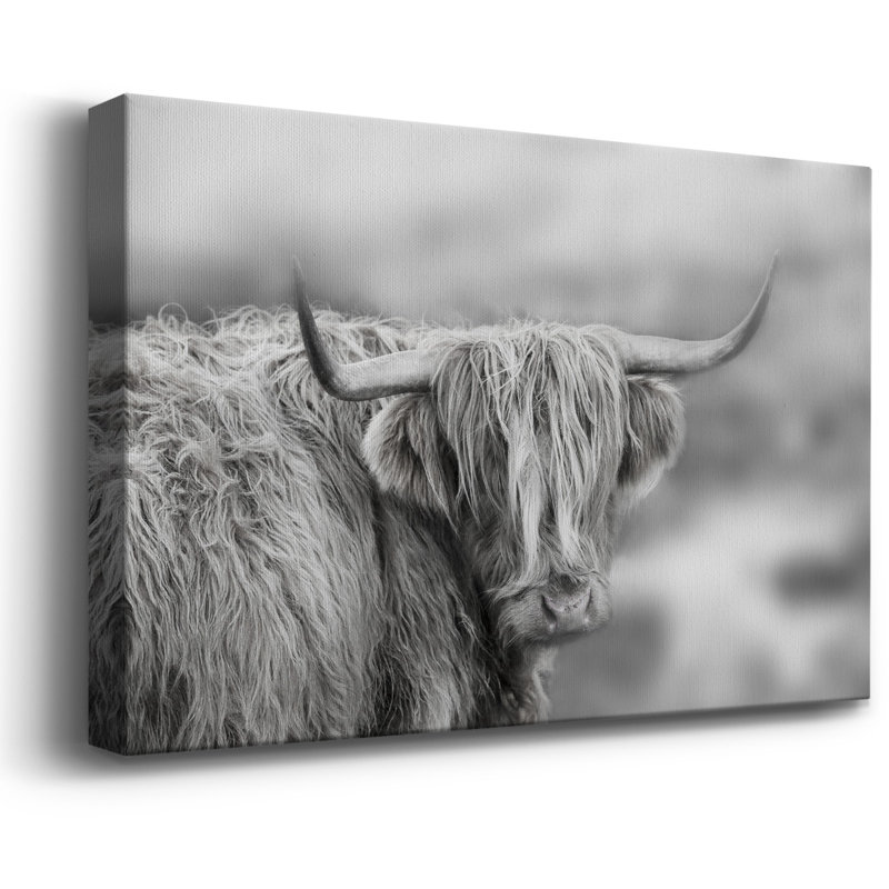 Roaming Isle of Skye Premium Gallery Wrapped Canvas - Ready to Hang, 8" H x 12" W
