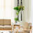Sorbus 4 Pack Macrame Plant Hanger - Cotton Rope, Elegant for Home, Patio, Garden, Black-1941465220