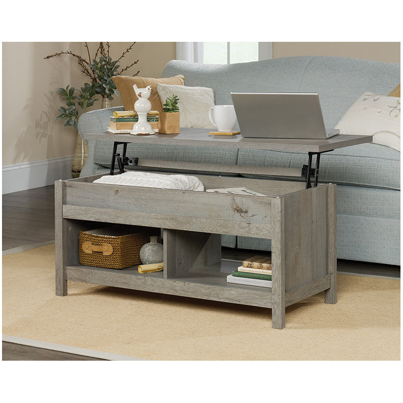 Domen Modern Lift-top Coffee Table, Gray
