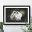 Macaque Monkey - Picture Frame Graphic Art-62802280-62802282