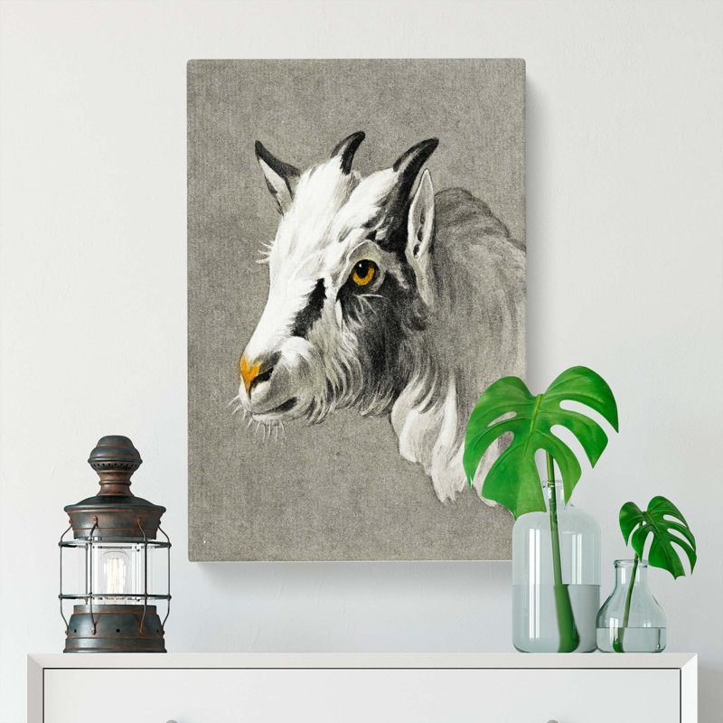 Head of a Goat by Jean Bernard - Wrapped Canvas, 50cm H x 35cm W x 3cm D