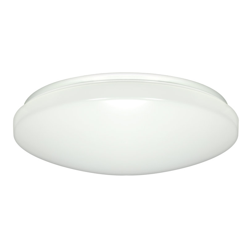 Alizandra Acrylic LED Flush Mount