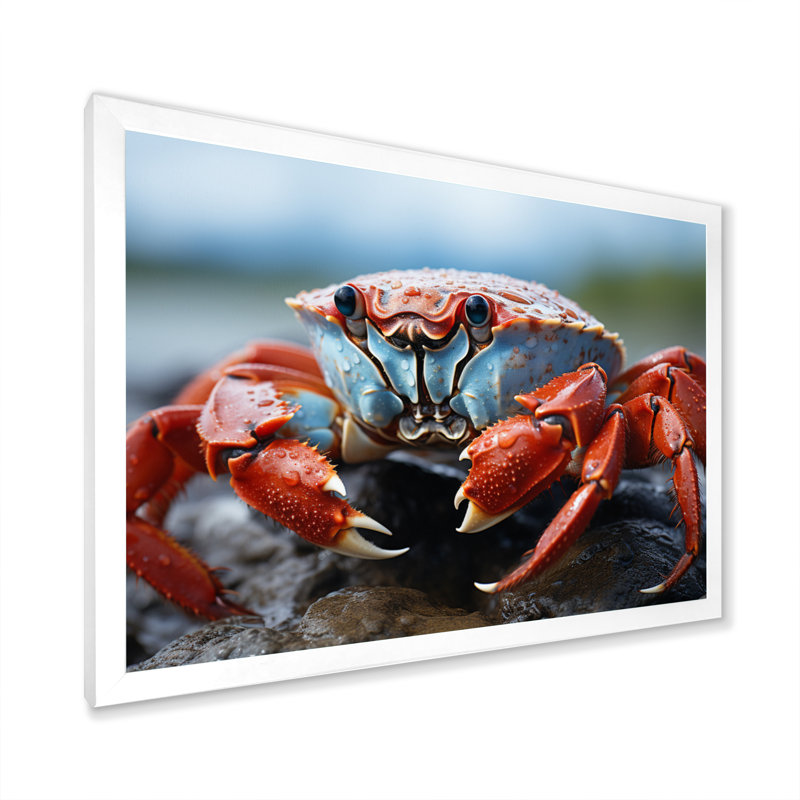 Crab Coastal Guardian sur toile, White Picture Framed, 30" H x 40" W