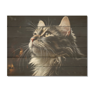 American Curl Curiosity Cat - Cat Wood Wall Art On Natural Pine Wood