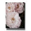 Toile épique Graffiti «Soft Pink Roses 2» par Debra Van Swearingen, 40 po x 54 po