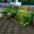 Dark Brown est en rupture de stock