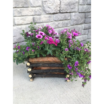 Boîte à fleurs à tistis/à fleurs Lola
