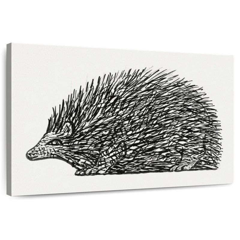 Avery Hedgehog 1891-1941, H 16 po x l 24 po