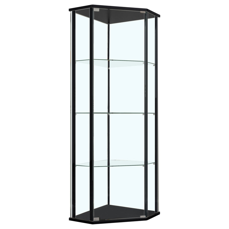 Curio Cabinet with Glass Shelf in Clear and Black