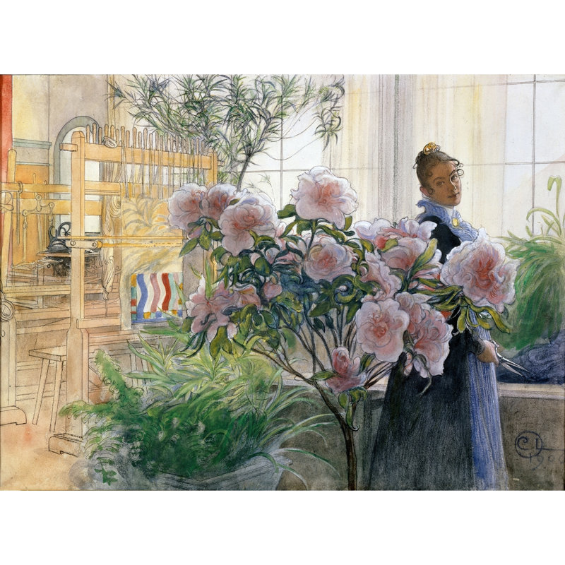 Azalea (1906)