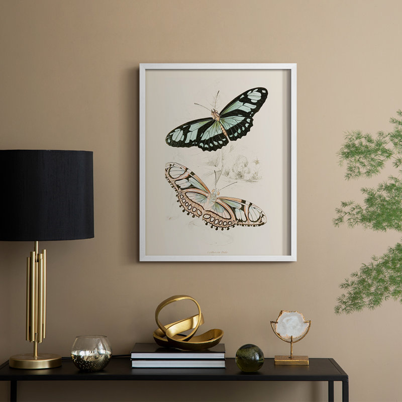 «Vintage Animal Print», reproduction encadrée en L - bois massif, H 11 po x l 9 po, Blanc
