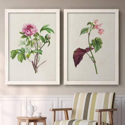 Jolie toile botanique V-Premium encadrée - Prêt à accrocher