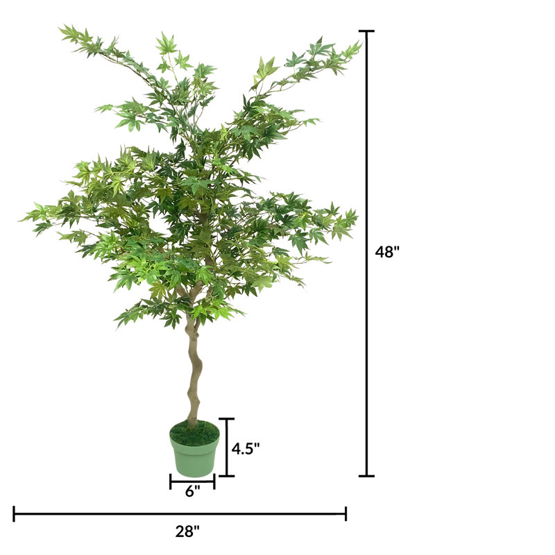 Faux 48" Japanese Maple