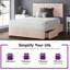 Urbank Divan Bed Base-2117000635-2117000632-2019974912