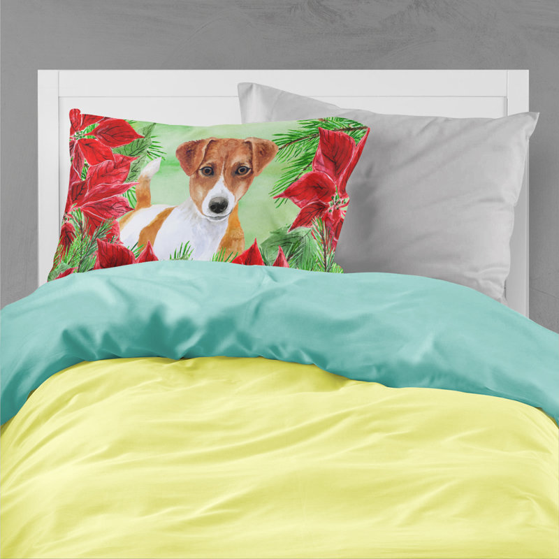 Microfiber, Jack Russell Terrier