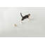 9"  Cat Perch-304715208-304715211