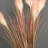 Mclaughlin Faux Silk Pampas Grass Arrangement-235542374