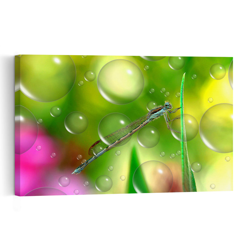 Blue Damselfly Bubbles Colorful Dreamy Peaceful Dragonfly Nature Summer Wall Art Print by Thierry Dufour - Print