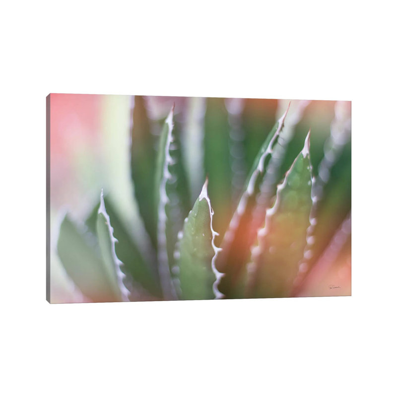 Dream Desert IV 1 Piece Wrapped Canvas Wall Art, 101.6 cm H x 66.04 cm W