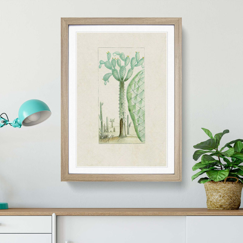 Cactus Illustration - Picture Frame Painting Print, Oak Framed, 48cm H x 36cm W x 2cm D