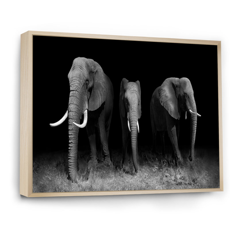Éléphants en noir et blanc - art mural traditionnel sur toile, H 16 po x l 32 po x P 1,5 po, Cadre flottant brun