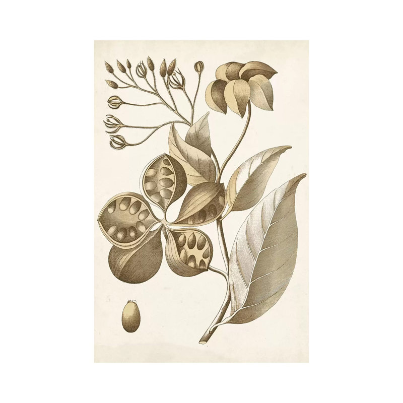 Ochre Botanical II by Vision Studio - Wrapped Canvas Print, 20.32 cm H x 30.48 cm W