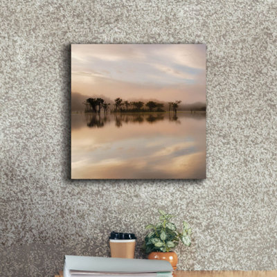 " Dawn Mist On The Amazon " by Andy Mumford