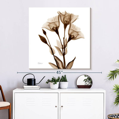 Harnek Gentian In Sienna