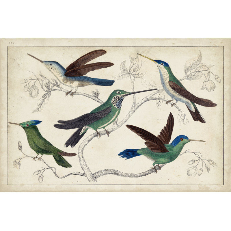 Hummingbird Gathering I - Wrapped Canvas Painting, 20cm H x 30cm W