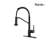 Rainlex Pull Down Kitchen Faucet
