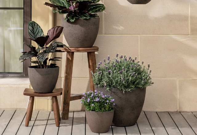 Our Best Outdoor Planter Deals