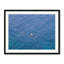 Blue Solitude Print by Vincent Dupont Blackshaw-65852376-132435294