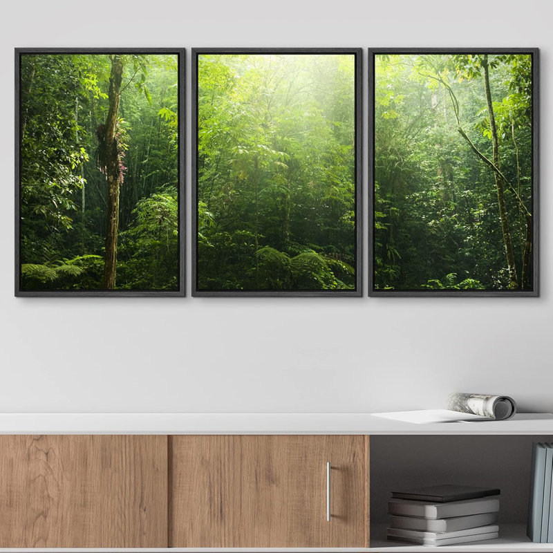 Rayon de soleil sur une forêt verdoyante Nature Photographie Réalisme Rustique, H 24 po x l 48 po, Cadre flottant noir