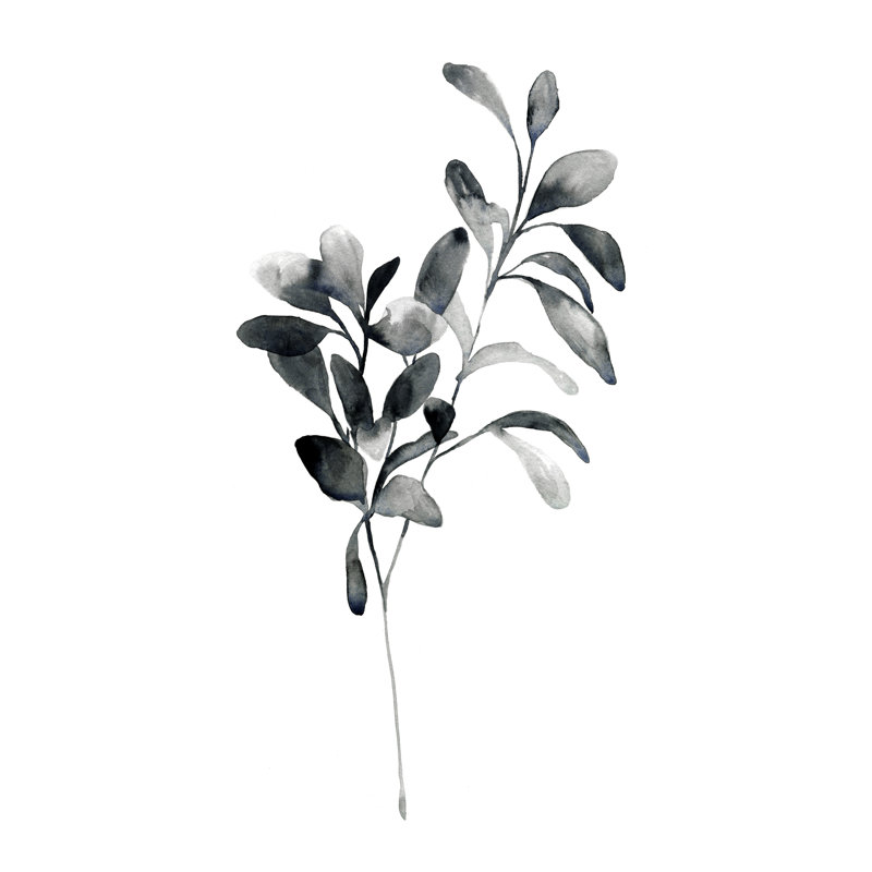 «Brume Botanical I», reproduction d'art sur toile, H 12 po x l 8 po