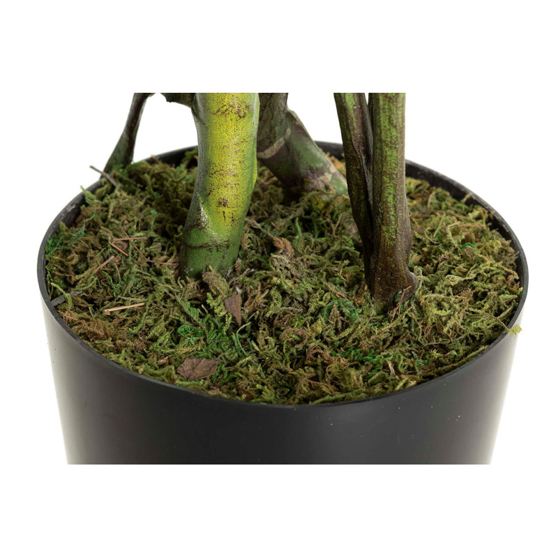 155cm Faux Banana Leaf Plant in Pot