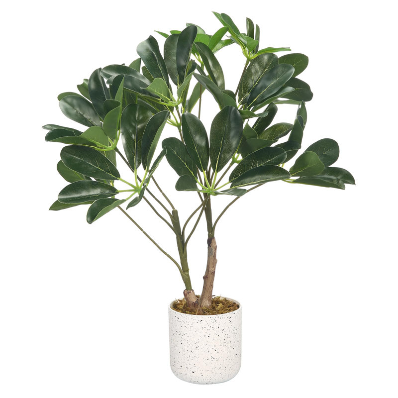 Petite plante en pot réaliste pour comptoir