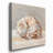 " Impressionist Shell Study II "-1225637558