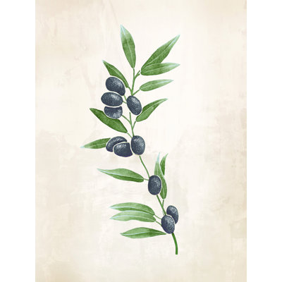 " Olive Branch Black Olives 2 "