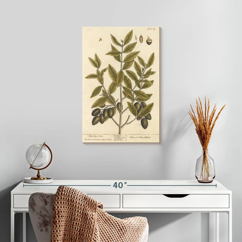 Keiri Olive Branch II, 24" H x 16" W